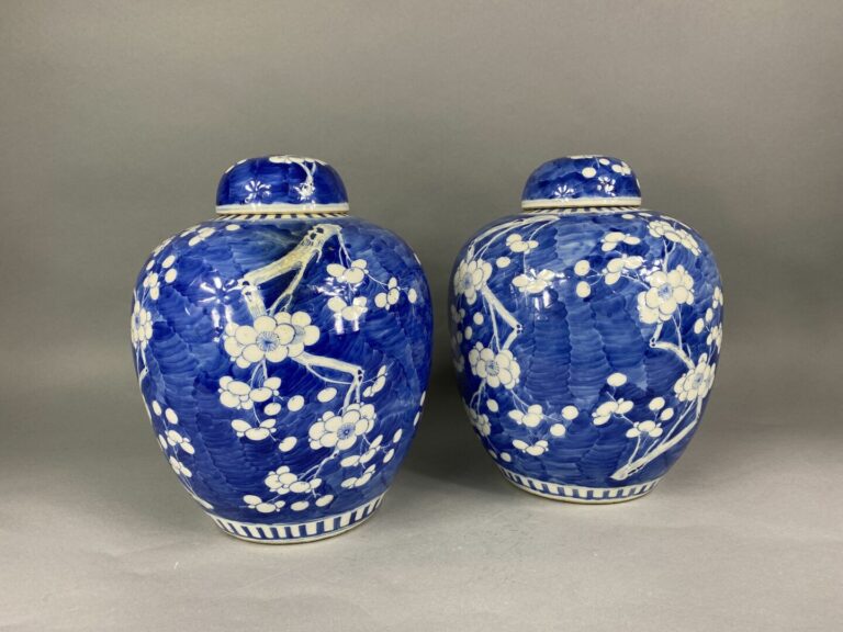 Chine - Paire de potiches couvertes en céramique à décor bleu blanc de branches…