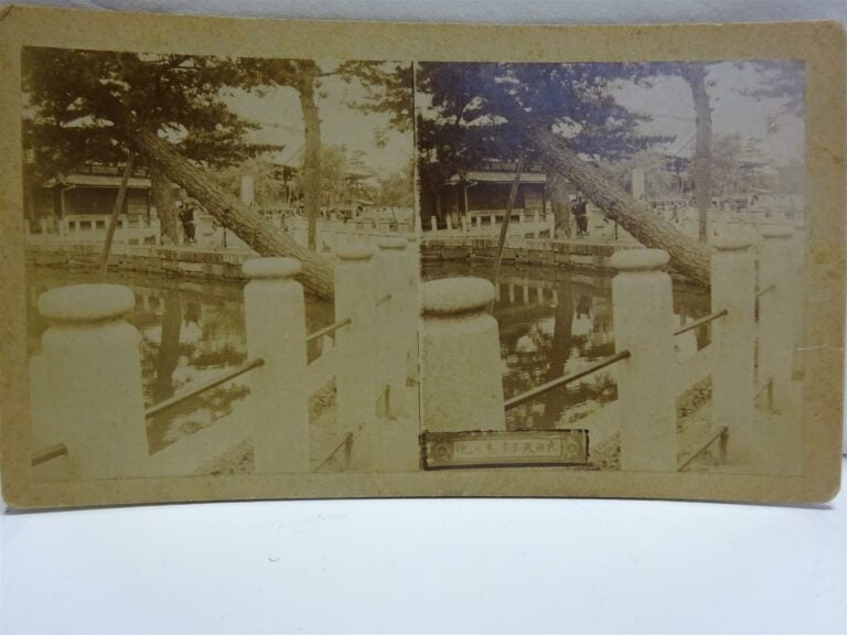 ASIE & VARIA - LOT DE SEPT (7) IMAGES STEREOSCOPIQUES - Epoque XIXe-XXe siècle…