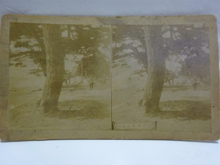 ASIE & VARIA - LOT DE SEPT (7) IMAGES STEREOSCOPIQUES - Epoque XIXe-XXe siècle…