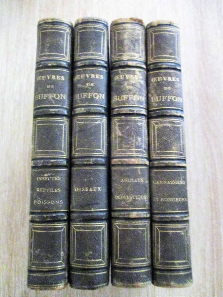 BUFFON. OEuvres. - Paris, Vermot, sans date (vers 1860). 4 volumes in-12, demi…
