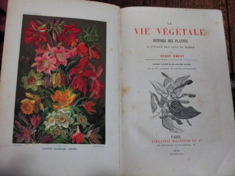 EMERY (Henry) - La Vie végétale. Histoire des plantes à l'usage des gens du mon…