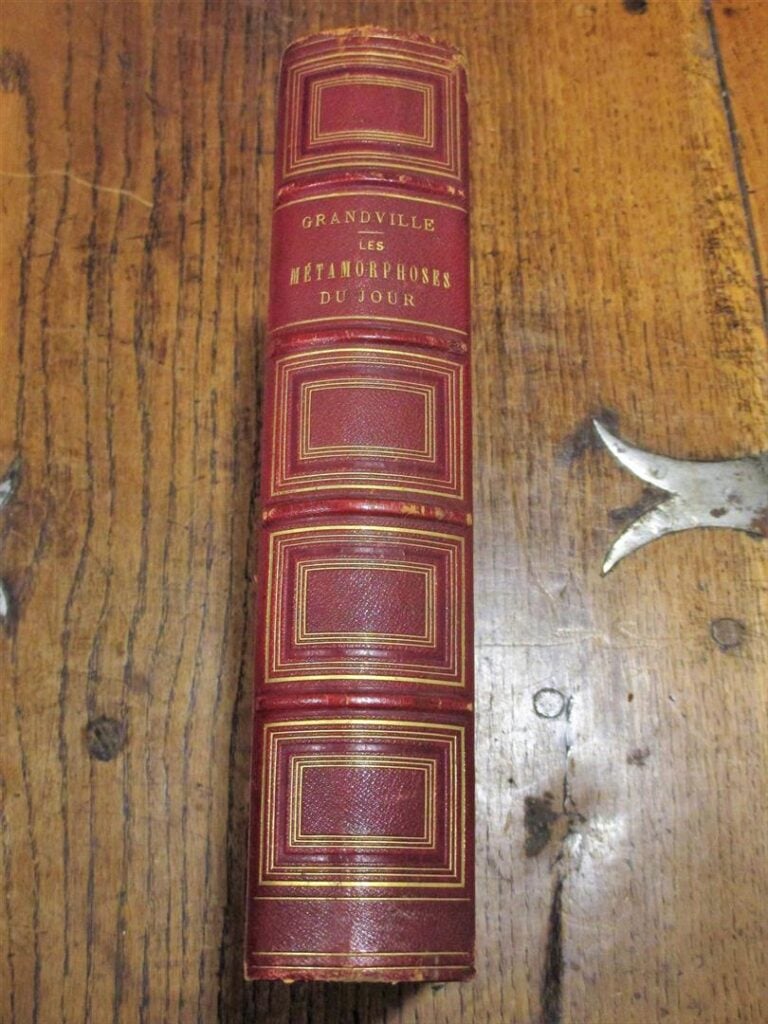 GRANDVILLE. - Les métamorphoses du jour. Accompagnées d'un texte par MM. Albéri…