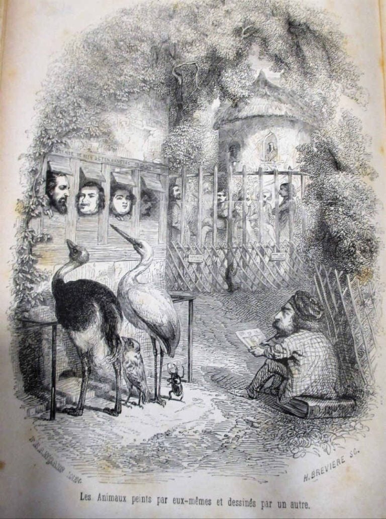 GRANDVILLE. - Scènes de la vie privée et publique des animaux. Vignettes par Gr…