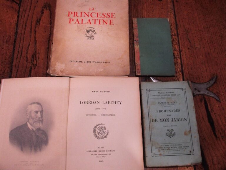 Lettres d'elle et de lui. Par une dame de la cour et qui n'est pas d'une acadé…