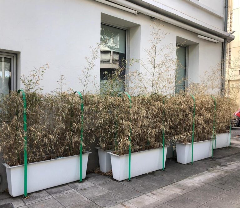 Lot de 10 bacs à fleurs, certains avec arceaux verts (terrasse et rdc devant hô…