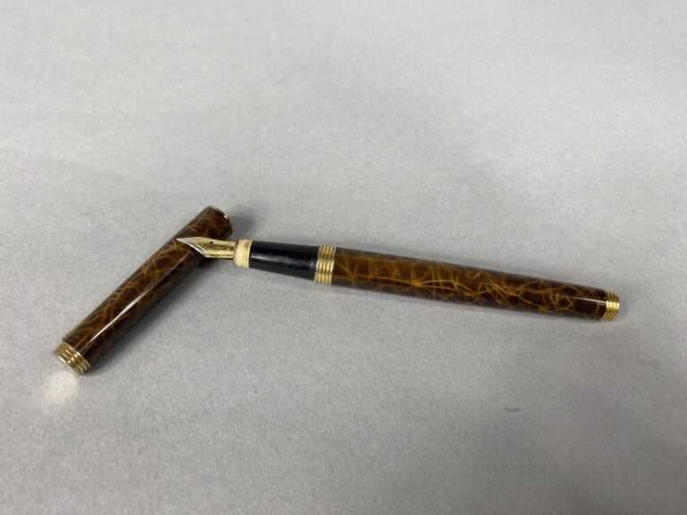 BAYARD, Daniel HECHTER, GOLDSTARRY, etc - Lot de stylos-plume et stylos bille d…