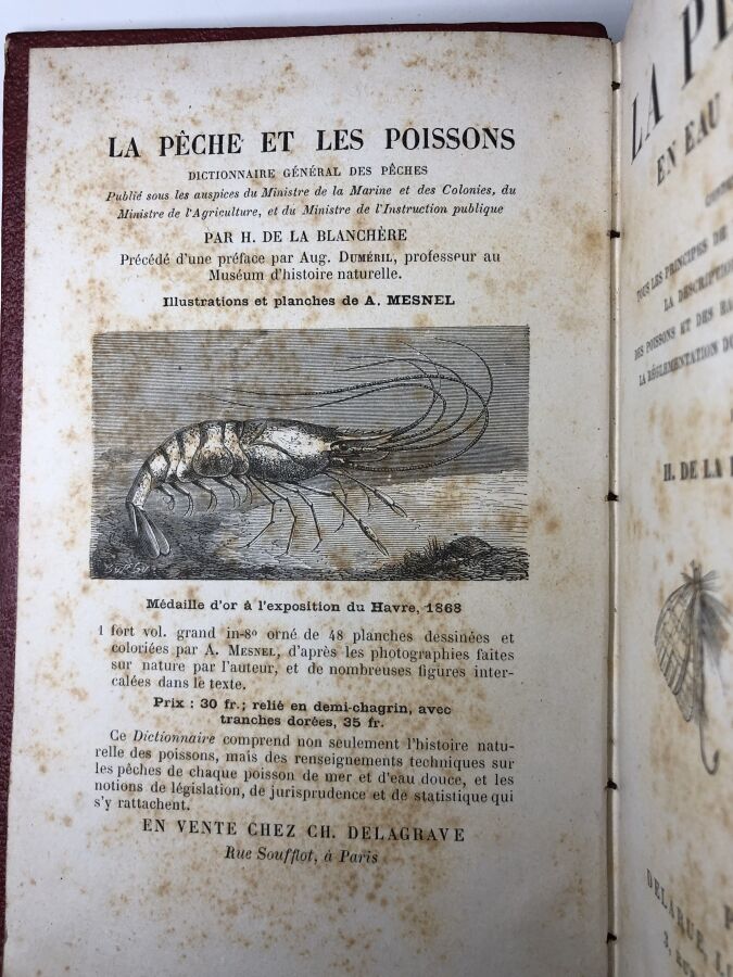 BLANCHERE (H. de). - La pêche en eau douce. Edité à Paris chez Delarue en 1881.…