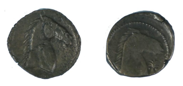 * Carthage - Divers - Lot de deux Bronze - A : tête de Tanis à gauche - R : Che…