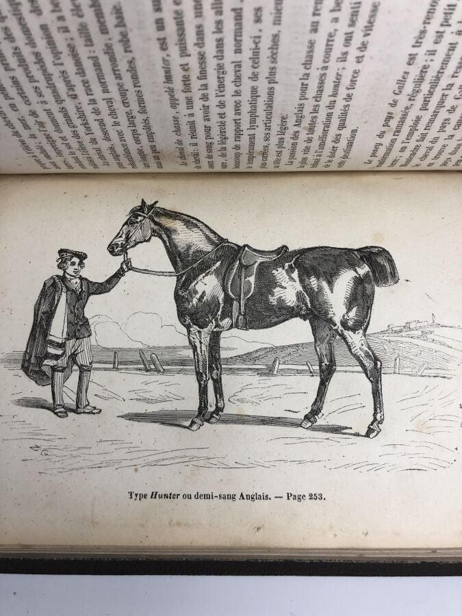 Saint - Ange (M. de) - Cours d'Hippologie. Édité à Saumur chez P. Godet en 1850…
