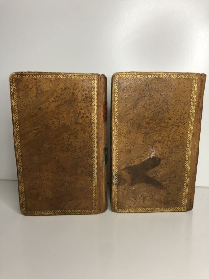 TASSE (Torquato) - Jérusalem délivrée, poème du tasse, 2 volumes. Édité à La Fl…
