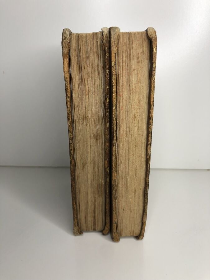 TASSE (Torquato) - Jérusalem délivrée, poème du tasse, 2 volumes. Édité à La Fl…