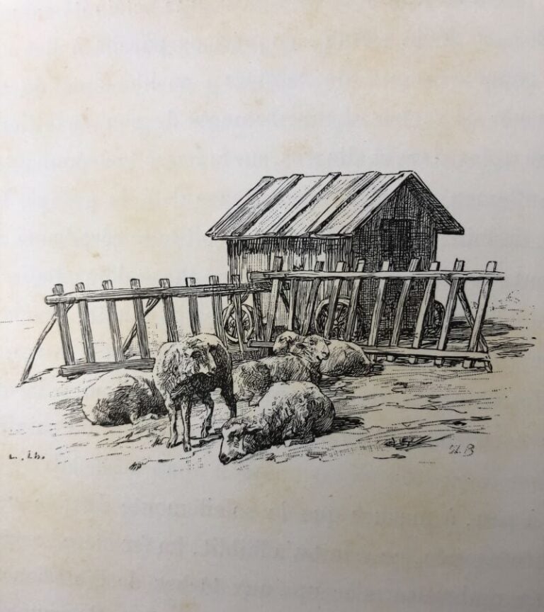 THEURIET (André) - La vie rustique. Edité à Paris chez H. Launette & Cie en 188…