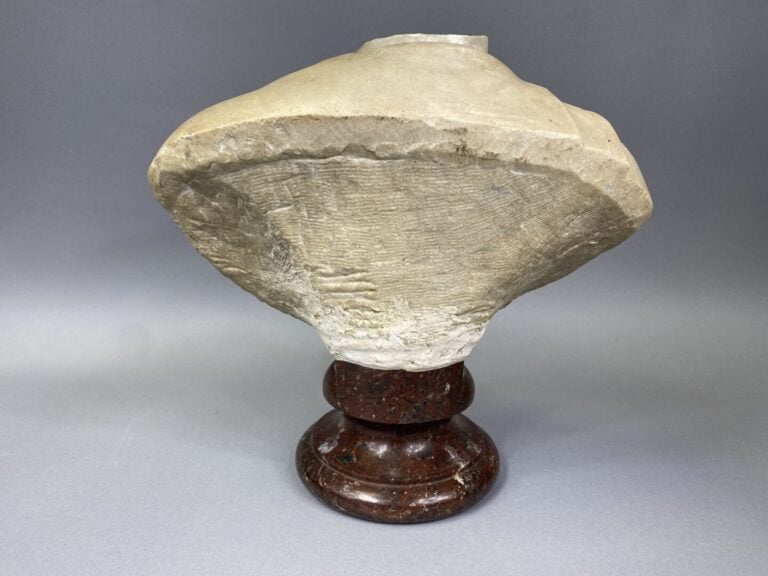 Buste de notable drapé à l'antique en marbre blanc sculpté - Socle de marbre ro…