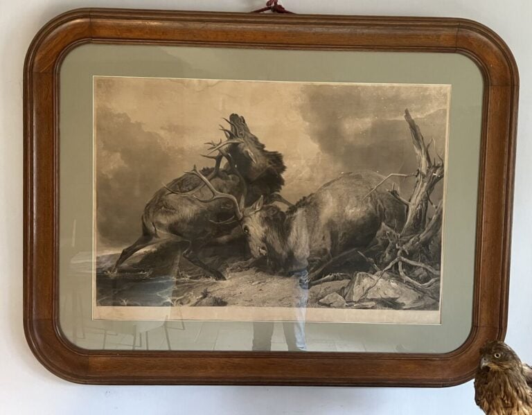 D'après ANDSELL. La mort du cerf. Gravure dans un beau cadre en bois naturel -…