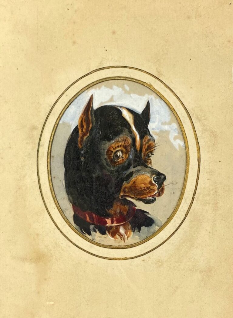 Ecole de la fin du XIXe - début du XXe siècle - Portraits de chiens - Aquarelle…