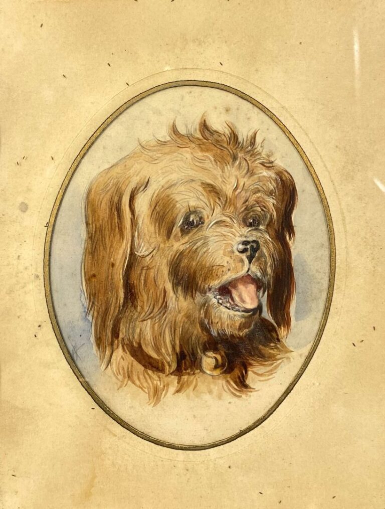 Ecole de la fin du XIXe - début du XXe siècle - Portraits de chiens - Aquarelle…