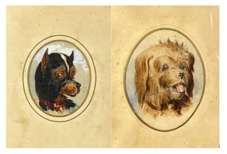 Ecole de la fin du XIXe - début du XXe siècle - Portraits de chiens - Aquarelle…