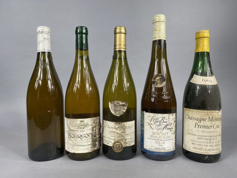 Ensemble de cinq bouteilles comprenant : - - Chassagne Montrachet, E. Delagrang…