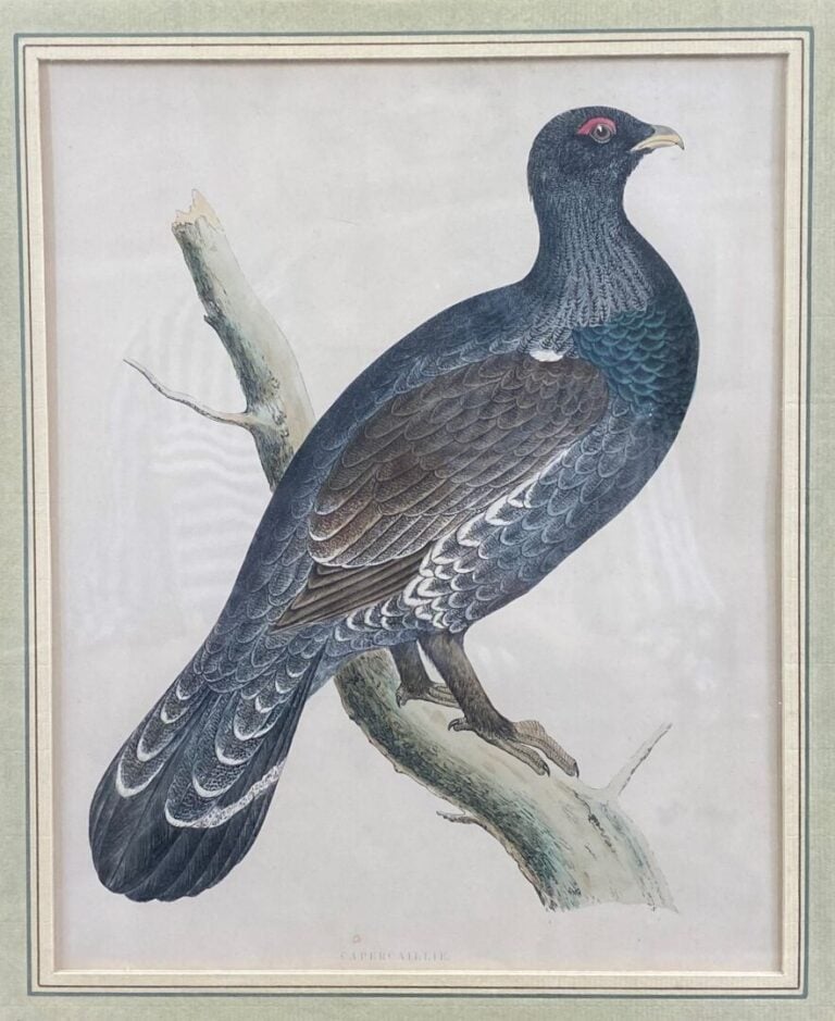 Mannette de pièces encadrées divers, gravure, huile sur toile représentant des…