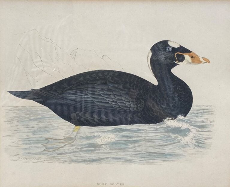 Mannette de pièces encadrées divers, gravure, huile sur toile représentant des…