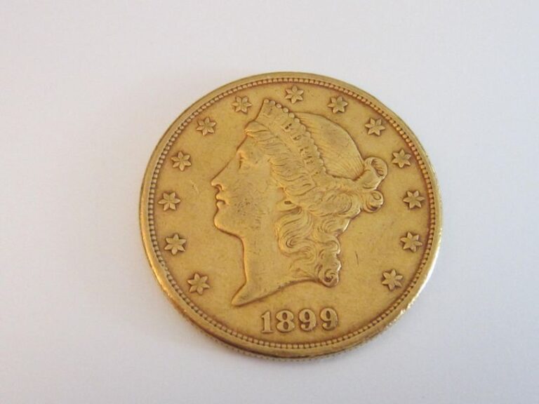 1 pièce de 20 $ or, 1899