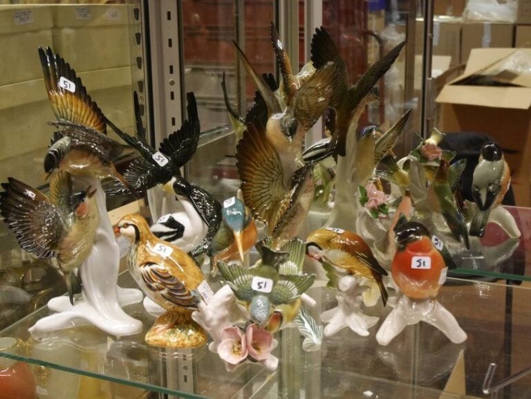 11 oiseaux accidents