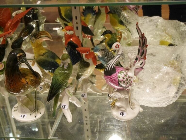 8 oiseaux accidents
