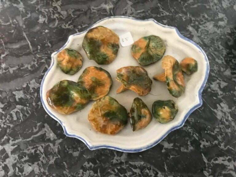 Assiette en faïence aux champignons