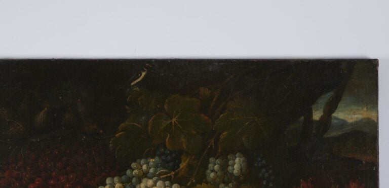 ATTRIBUÉ À GIUSEPPE VICENZINO - (1662 - APRÈS 1700) - « Nature morte aux raisin…