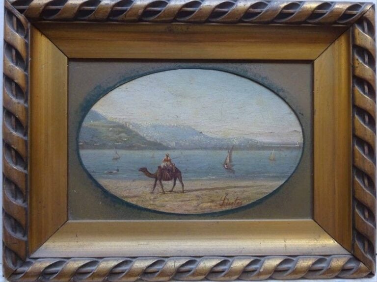 Chamelier sur la plage