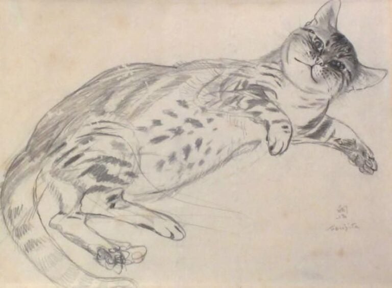 Chat allongé Mine de plomb, signée en bas à droite 25,5 x 33 cm