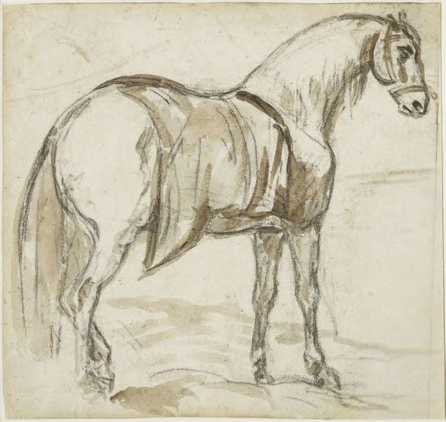Cheval de Hanovr