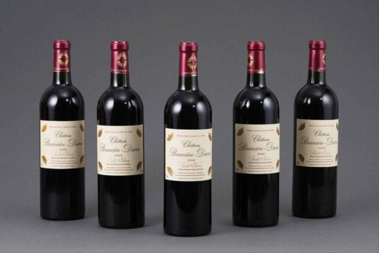 Cinq bouteilles : CHÂTEAU BRANAIRE-DUCRU GCC Saint-Julien 200