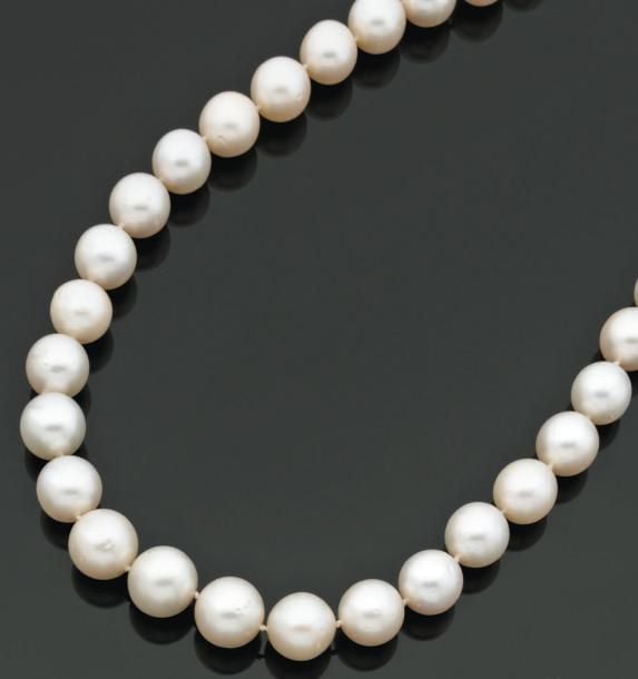 COLLIER composé d'un rang de perles de culture blanches des Mers du Su