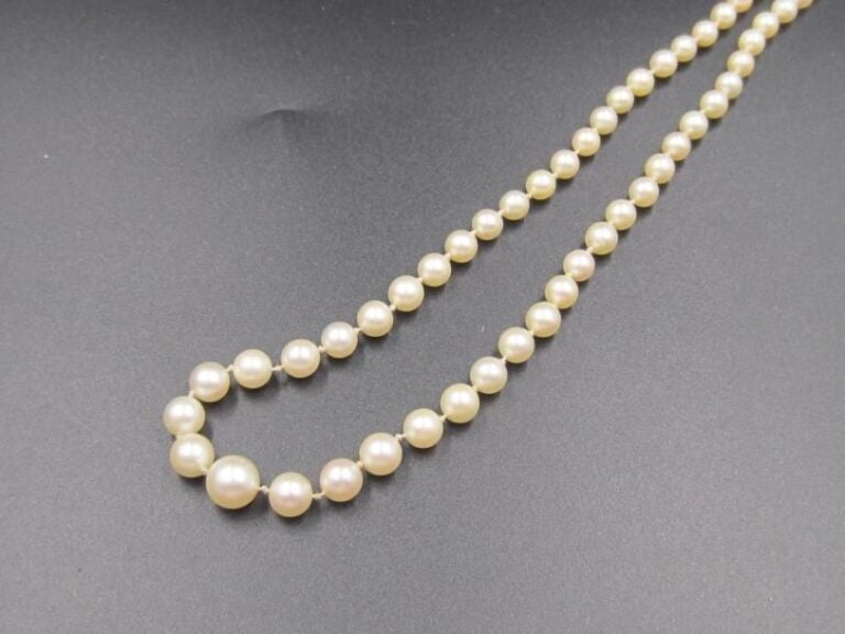 COLLIER composé d'un rang de perles de culture blanches, en chut