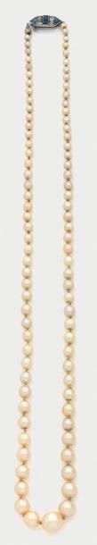 COLLIER composé d'un rang de perles de culture blanches, en chut