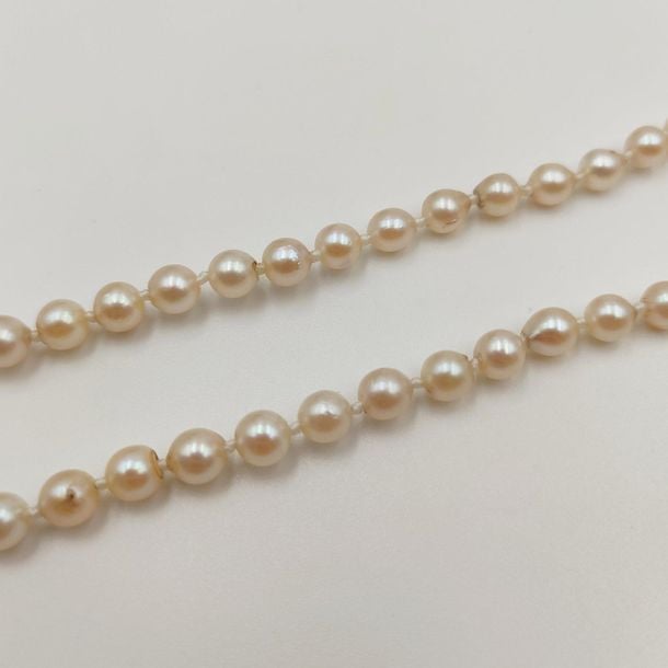 •COLLIER composé d'un rang de perles de culture crème en chut