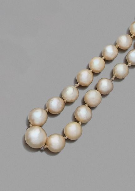 •COLLIER composé d'un rang de perles de culture en chut