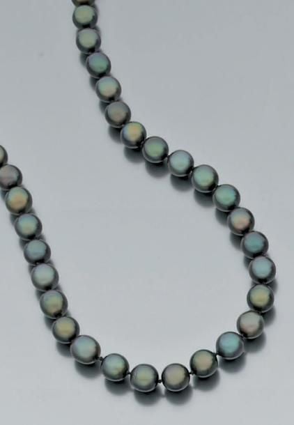 COLLIER composé d'un rang de perles de culture grises de Tahit