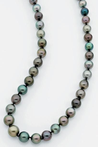 COLLIER composé d'un rang de perles de culture grises, dont certaines à nuance aubergine à vert