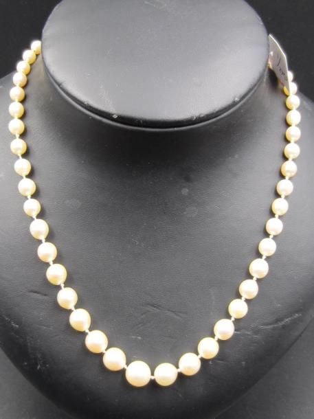 COLLIER composé d'un rang de perles de cultures blanches, en chut