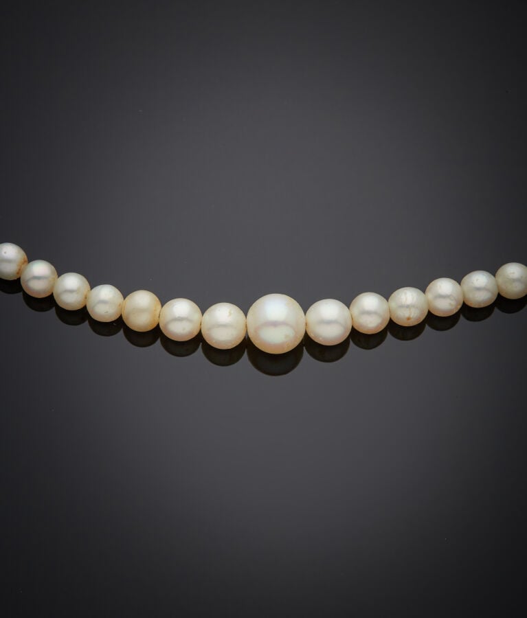 COLLIER composé d'un rang de perles (non testées), en chute. Fermoir ogive en o…