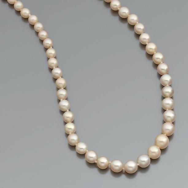 COLLIER composé de 83 perles fines, en chut