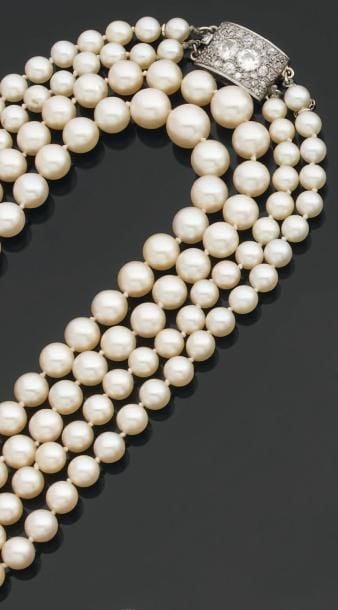 COLLIER composé de deux rangs de perles de culture blanche