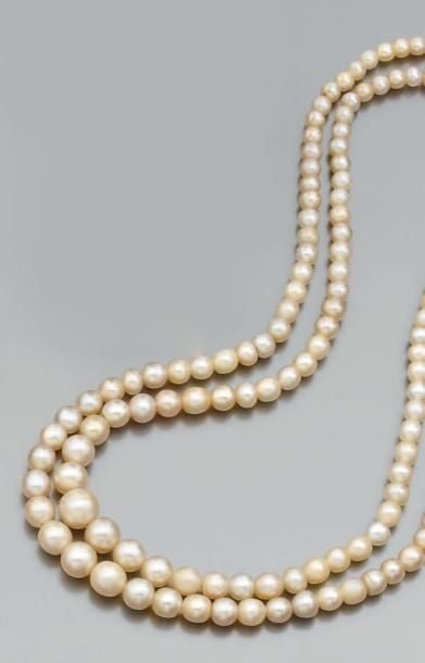 COLLIER composé de deux rangs de perles fine