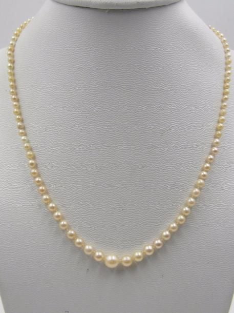 COLLIER composé d’un rang de perles de culture blanches, en chut