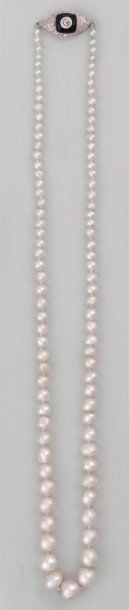 COLLIER de perles fines blanches, en chut