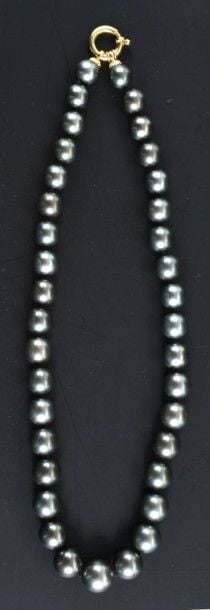 Collier de perles grises de Tahiti en légère chute Fermoir or jaune 18k Longueur: en