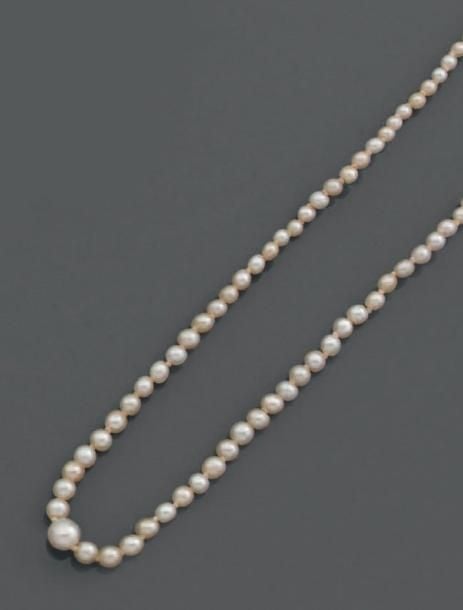 COLLIER fin composé de perles blanches probablement fines (non testées