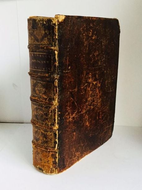 Commentaire littéral sur tous les livres de l'ancien et du nouveau Testamen